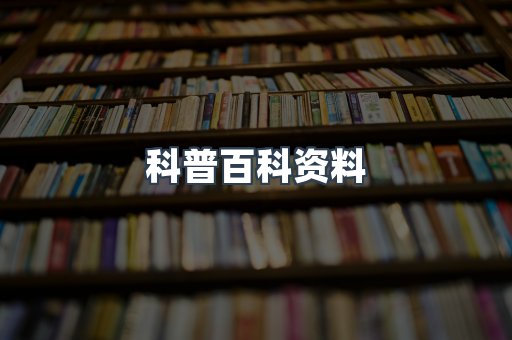 外文电子书系列